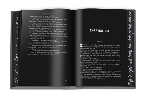 Fallen Omega | A Dark Why Choose Omegaverse |Special Edition Hardback