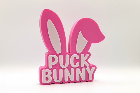 Puck Bunny | Bookshelf Decor | Modded Maker Mayhem