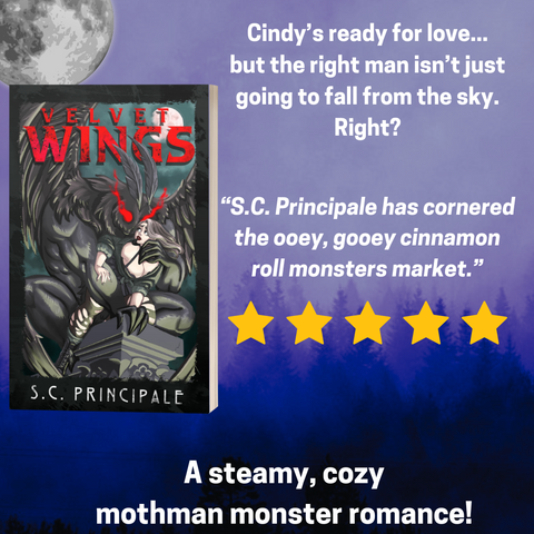 Velvet Wings (Pine Ridge Universe)