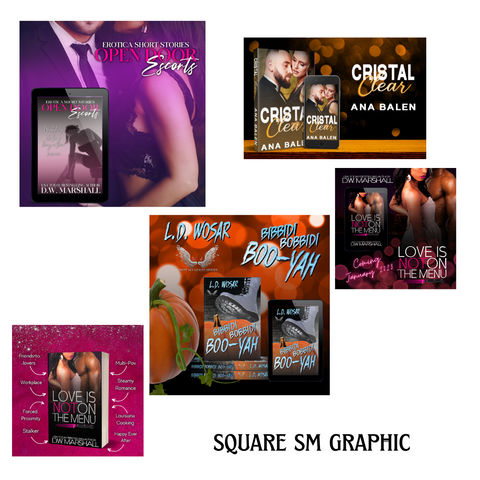 Pre-Made E-Book Cover
