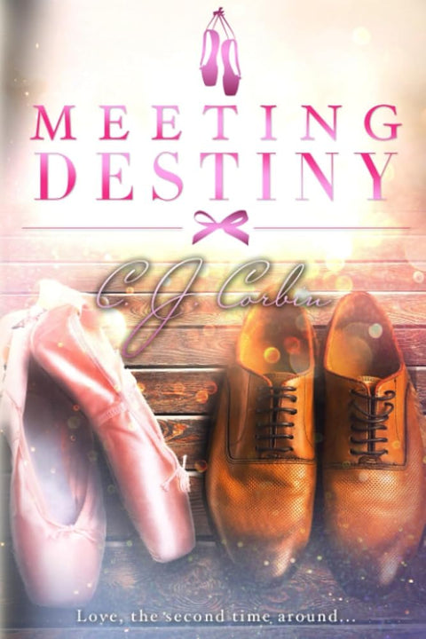 Meeting Destiny (The Destiny Series) cover image