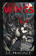 Velvet Wings (Pine Ridge Universe) cover image