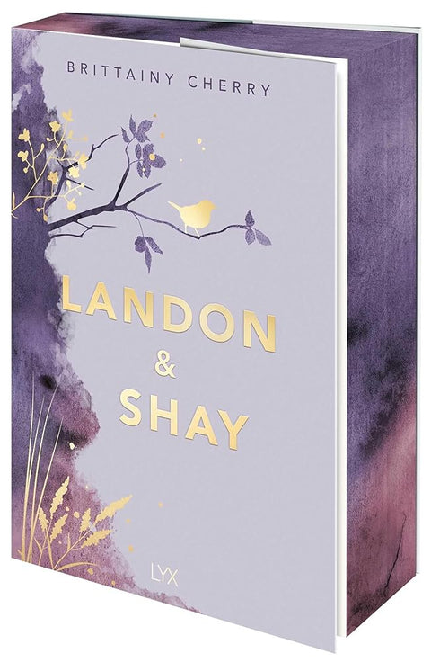 Landon & Shay (Chances) cover image