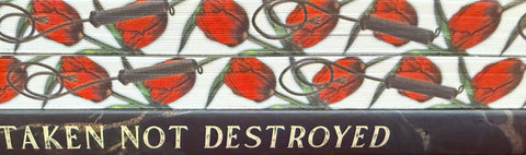 Taken, not Destroyed |  A Cartel Dark Romance | Armas Locas Series