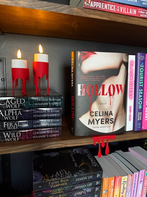 Bookshelf Decor | Modded Maker Mayhem