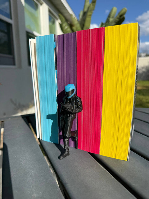 Create Fantasy Crafts - Reading Biker | Bookshelf Decor | Customizable Helmet Color